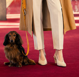 un chien et une personne à l'aéroport