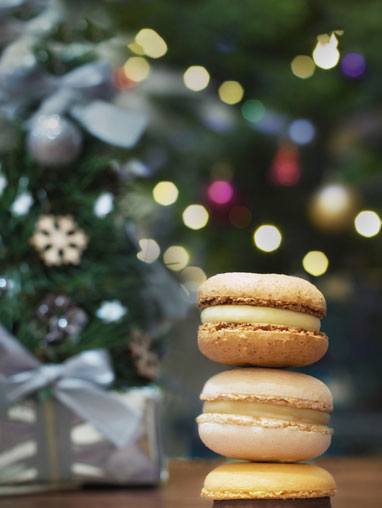 Mac_noel_etep_382X508.jpg