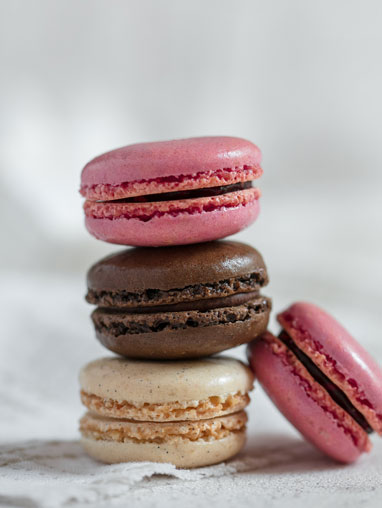 Macaron_automne_382X508.jpg