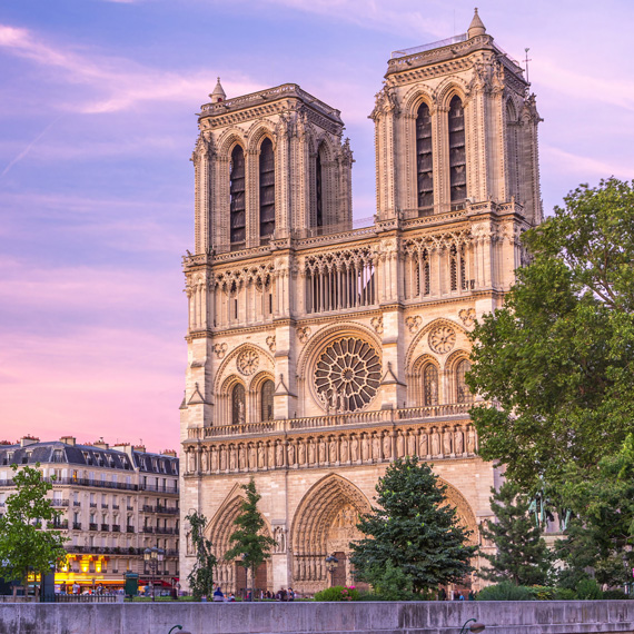 NOTREDAME_570x570.jpg